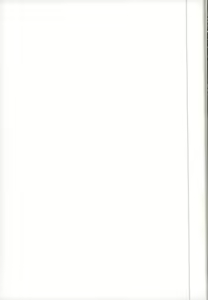 Page 47 of Kai-kun no Bunshin wa Fight de Shika Stand Shinai - preview thumbnail