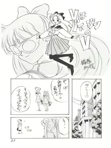 Page 23 of Chosen Ame Ver 2.0 - preview thumbnail