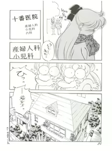 Page 24 of Chosen Ame Ver 2.0 - preview thumbnail