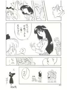 Page 28 of Chosen Ame Ver 2.0 - preview thumbnail