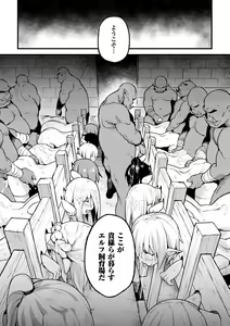 Page 11 of Elf no Tsukaimichi - preview thumbnail