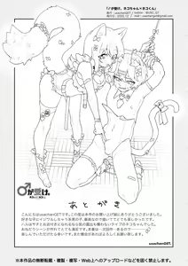 Page 73 of ♂ ga Uke. Neko-chan x Neko-kun - preview thumbnail