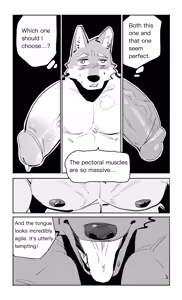 Page 41 of jiangbao1500 - preview thumbnail