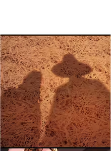 Page 888 of 命运:贞洁欲女 |  命運:貞潔慾女 1-79 - preview thumbnail