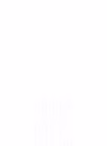 Page 342 of 新生老司机 | 新生老司機 1-26 - preview thumbnail