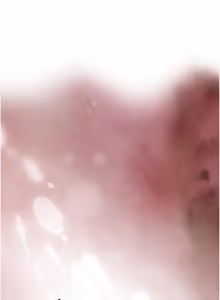 Page 344 of 暴君会长的娇媳们 |  暴君會長的嬌媳們 1-31 - preview thumbnail