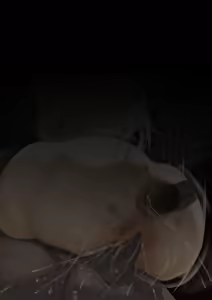 Page 62 of FANBOX - FULL GALLERY Part.2 - preview thumbnail