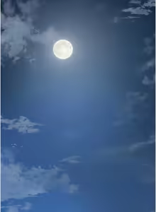 Page 1033 of 花容湿色:取花点 | 花容濕色:取花點 1-95 - preview thumbnail