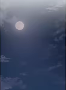 Page 597 of 花容湿色:取花点 | 花容濕色:取花點 1-95 - preview thumbnail