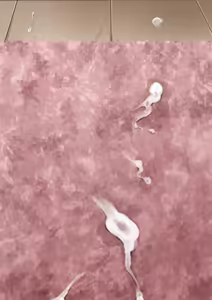 Page 54 of Anta, Nandetatten no - preview thumbnail