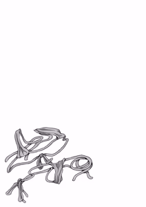 Page 302 of Miseijuku na Nama Onaho + Digital Tokusouban Tokuten - preview thumbnail