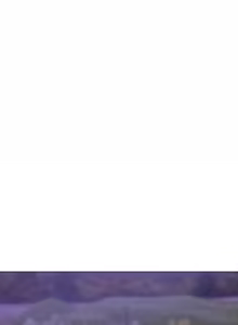 Page 115 of 老婆卷款潜逃后 | 老婆捲款潛逃後 1-51 - preview thumbnail