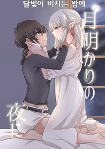 Tsuki Akari no Yoru ni | 달빛이 비치는 밤에 - hentai manga cover image