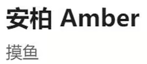 Page 313 of HVVT - preview thumbnail