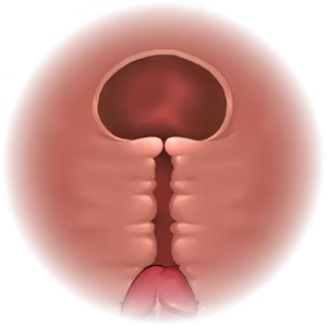 Page 554 of Tunnel Escape - alice incomplete - preview thumbnail