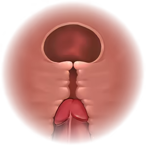 Page 555 of Tunnel Escape - alice incomplete - preview thumbnail