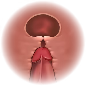 Page 556 of Tunnel Escape - alice incomplete - preview thumbnail