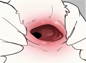 Page 58 of Manmosu Marimo - Tulin - preview thumbnail