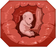 Page 1081 of Legend of sex yoga girl 0.25 - preview thumbnail