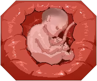 Page 1082 of Legend of sex yoga girl 0.25 - preview thumbnail