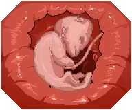 Page 1085 of Legend of sex yoga girl 0.25 - preview thumbnail