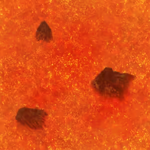 Page 1356 of Legend of sex yoga girl 0.25 - preview thumbnail