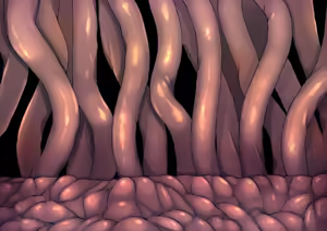 Page 256 of Tsuchinoshita Kaeru - preview thumbnail