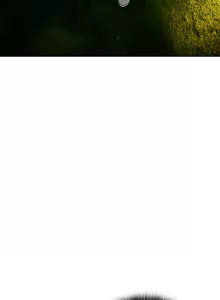 Page 24 of 当前女友变成异世界独裁者 | 男人稀缺的异世界 |  當前女友變成異世界獨裁者 |  男人稀缺的異世界 1-28 - preview thumbnail