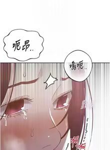 Page 1566 of 秘密教学/The Class Of The Secret 241-302 - preview thumbnail