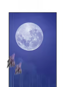 Page 853 of 秘密教学/The Class Of The Secret 241-302 - preview thumbnail