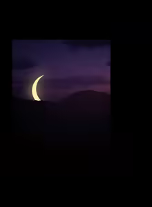 Page 168 of 傻傻病毒 | 傻瓜病毒 1-62 - preview thumbnail