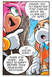 Page 19 of Sonic the Hedgehog IDW & Archie Amy Rose Uncensored Panels - preview thumbnail