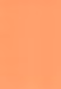 Page 24 of SWEET HONEY - preview thumbnail