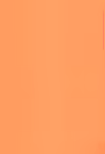 Page 3 of SWEET HONEY - preview thumbnail