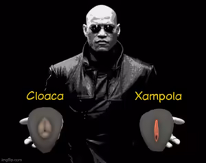 Page 609 of Memes Eróticos Explicitos - preview thumbnail