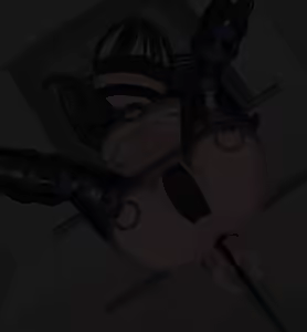 Page 261 of RO - preview thumbnail