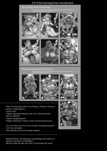 Page 33 of The everlasting elf of the evening - preview thumbnail