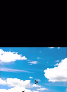 Page 1181 of 韶恩 1-91 - preview thumbnail