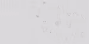 Page 194 of Leebo 2025.06 - 2026.05 (Chinese)【松果个人汉化】【Ongoing】 - preview thumbnail