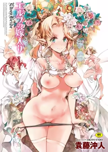 Elf no Yomeiri (decensored) - hentai manga cover image