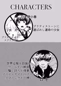 Page 2 of Puriti naito supuringu - preview thumbnail