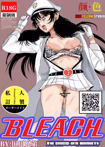 bleach - hentai manga cover image