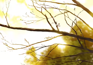 Page 275 of Amagami CG - preview thumbnail
