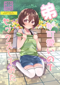 Ototo ga kawaiinode sekkusu shite mita - hentai manga cover image