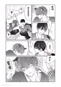 Page 188 of Tamaranai no wa Koi na no ka︱难以承受的悸动是恋爱吗 - preview thumbnail