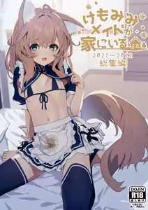 けもみみメイドが家にいる総集編1冊目 - hentai manga cover image