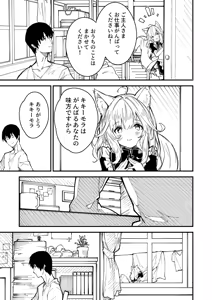 Page 30 of けもみみメイドが家にいる総集編1冊目 - preview thumbnail