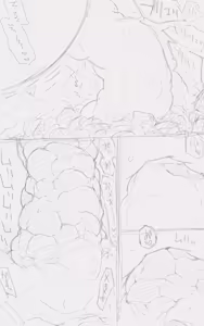 Page 555 of Catame - 2026 - preview thumbnail