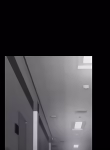 Page 1010 of Succubus System - preview thumbnail