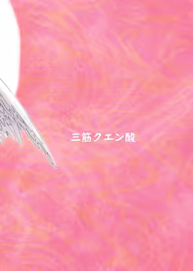 Page 41 of Yume no Naka de aimashou - preview thumbnail